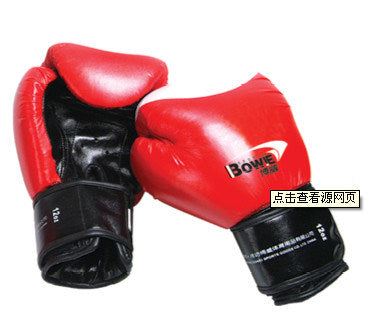 GYM BOXING GLOVE 1PR # TZ-3041